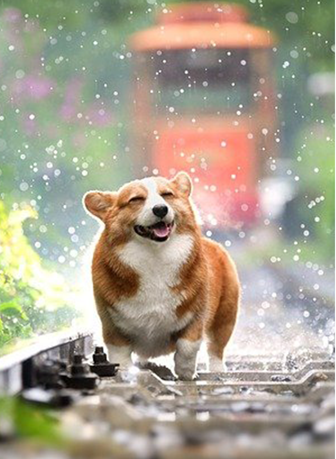 【世界狂犬病日】福德医院-你我共同行动，共筑狂犬病防控防线